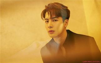 张万森女友爆料视频大全,揭秘背后惊人真相  第2张