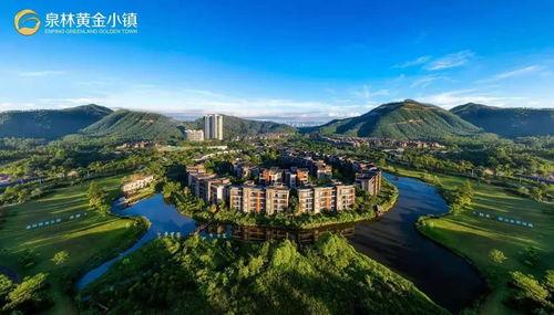 恩平最新爆料  第2张