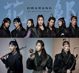 花郎韩剧在线观看,青春热血，传奇再现！  第2张